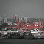 The Red And Grey City Scape