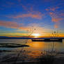 Rainbow Flower Beach Sunset