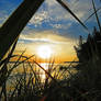 Sunset Through High Tide