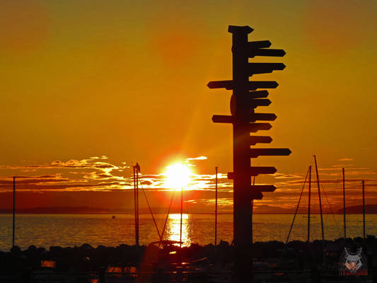 Eagle And Directions At Sunset