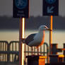 Walk Your Bike Or Seagull