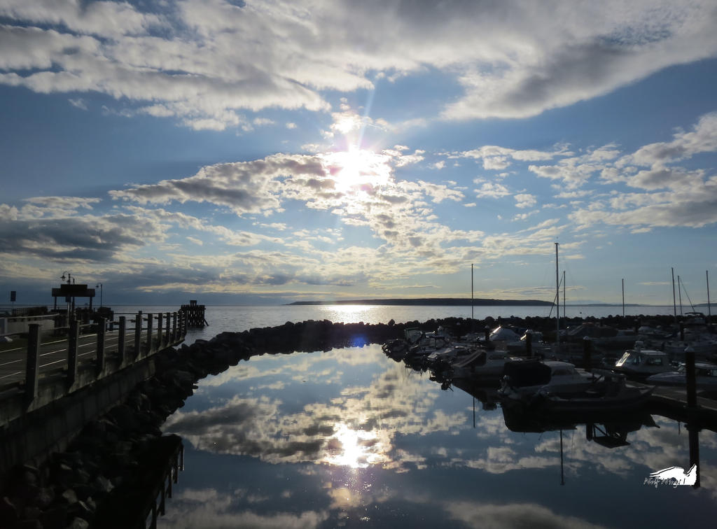 Great Water Reflection