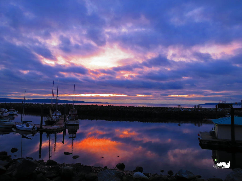 Purple Sunset And Sky