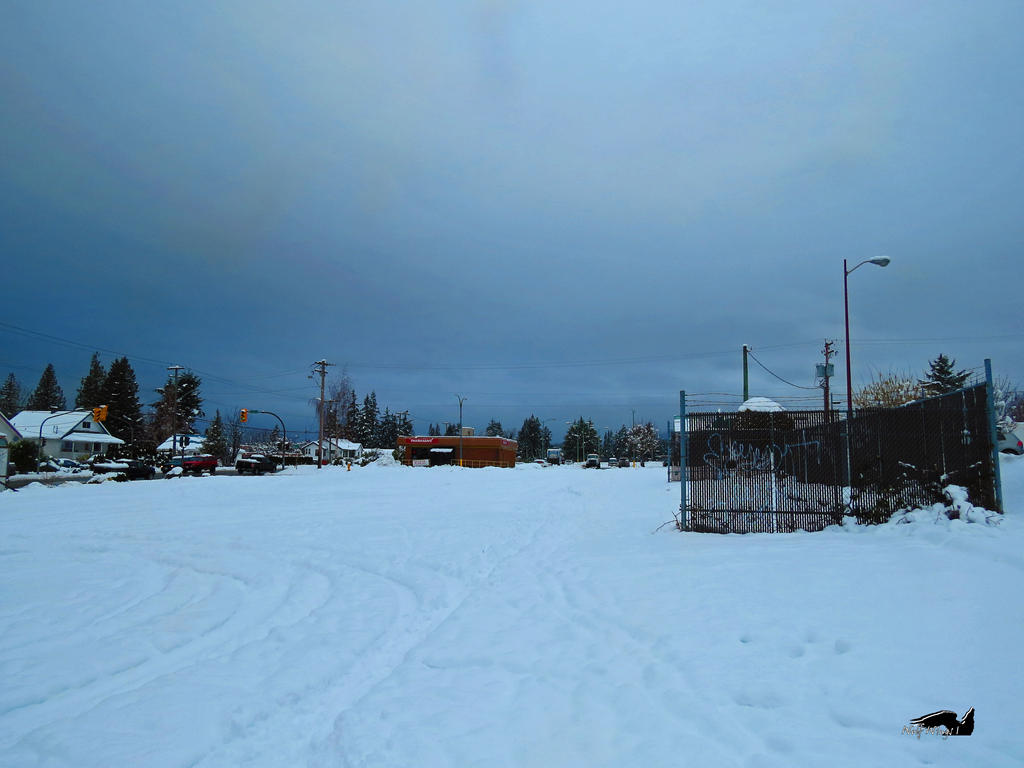 Snow Covered Parking Lot