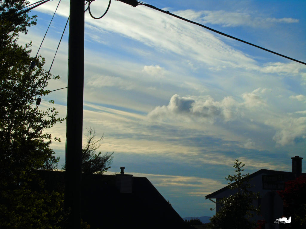 The Decorative Cloudy Sky