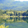 Lake Shore In Reflection