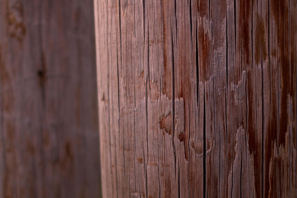 Wooden Poles (Free Texture) by dinodude411 on DeviantArt