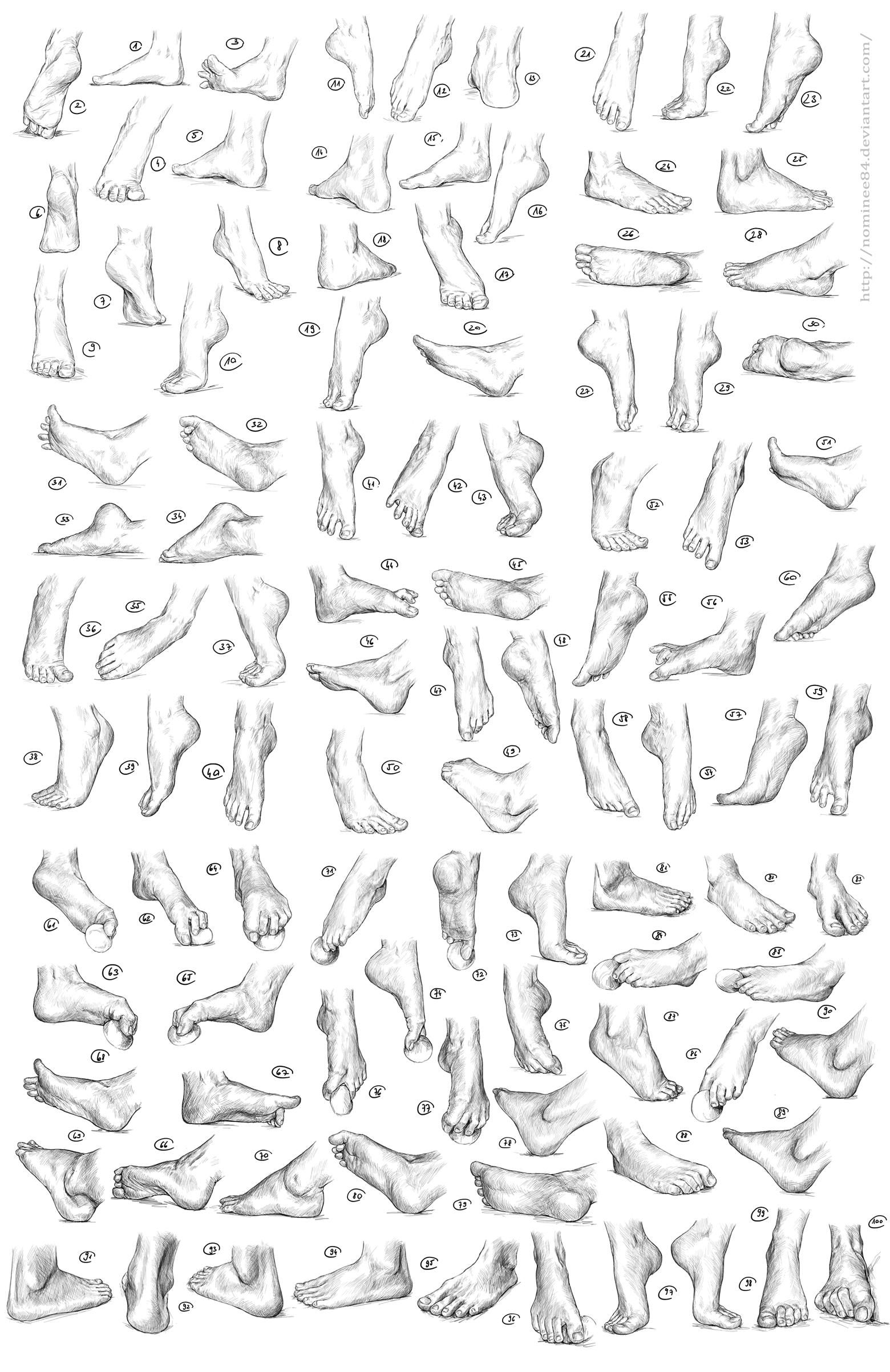 100 feet - studies