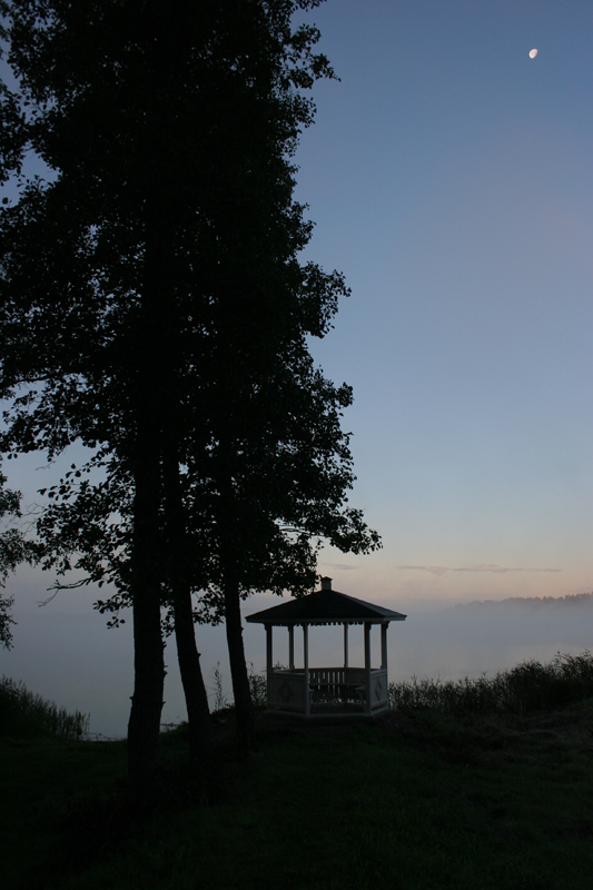 Foggy Lake 3