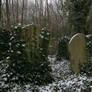 East side of Highgate Cemetery 03