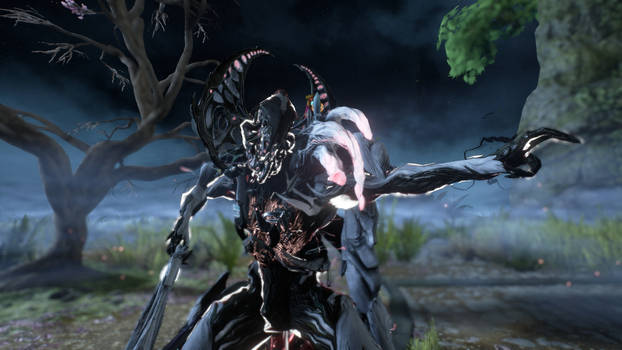 Nidus chooses you