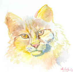 Bobcat in Watercolor