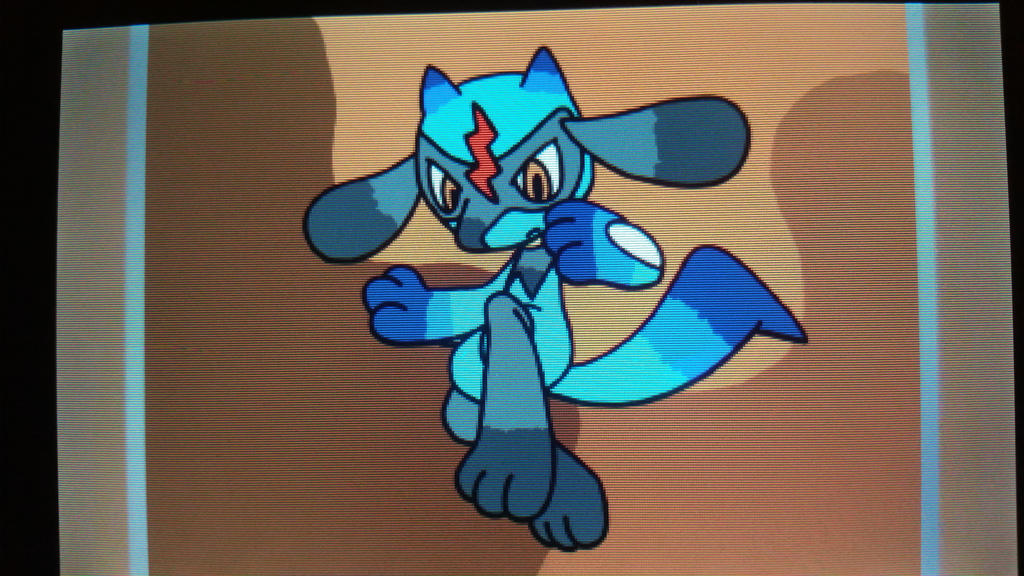 Riolu By TigerNightFury14 On DeviantArt riolu-by-tigernightfury14-on-deviantart