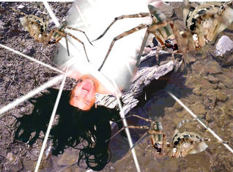 Spider Food by Smenzer