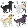 Canine Adopts #14 [OPEN]