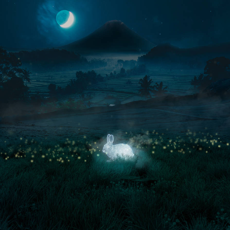 Alba Rabit Glowing Rabbit by Th3CR0W005 on DeviantArt