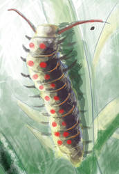 Caterpillar