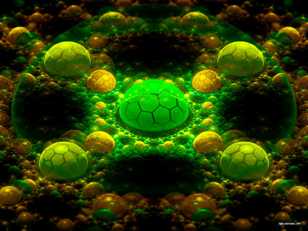Shells Of The Green Turtle by tiffrmc720
