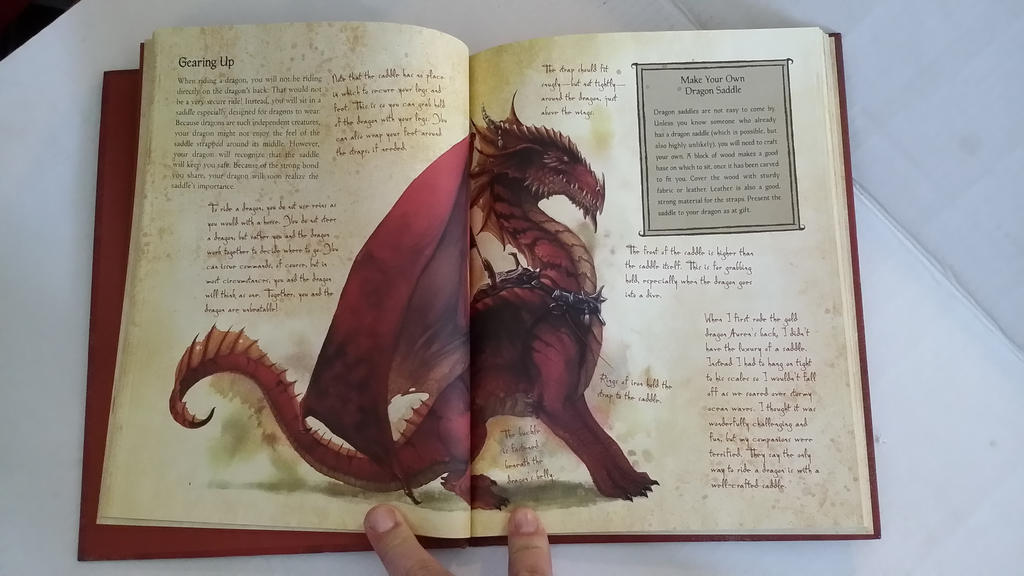 A practical guide to Dragon riding, Training by skeletaldragin1 on ...