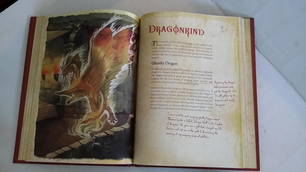 A practical guide to Dragon riding, Dragonking by skeletaldragin1 on ...