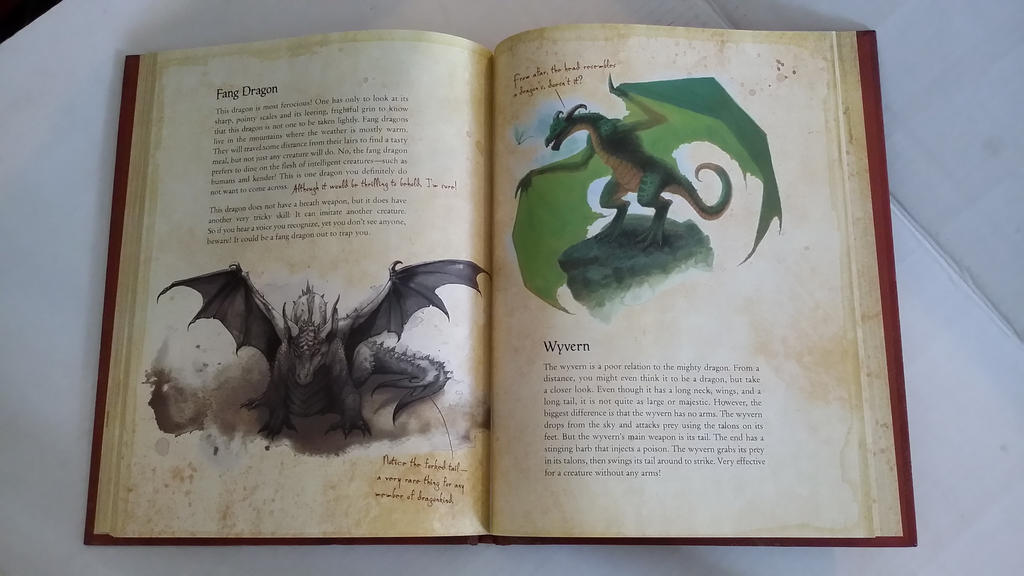 A practical guide to Dragon riding, Dragonking by skeletaldragin1 on ...