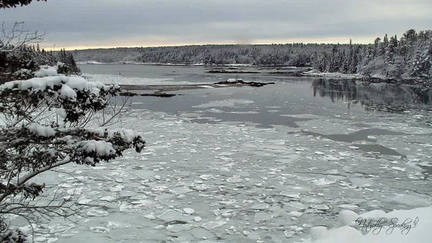 Icy Bay