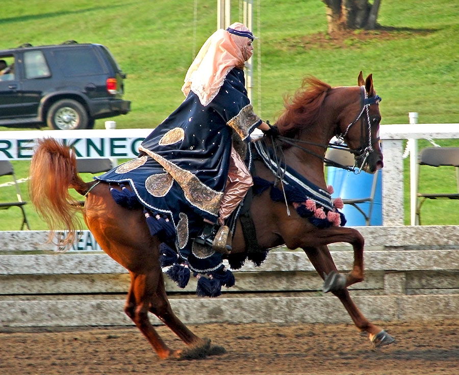 Arabian Costume 1