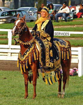 Arabian Costume 3