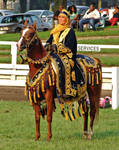 Arabian Costume 3 by shi-stock