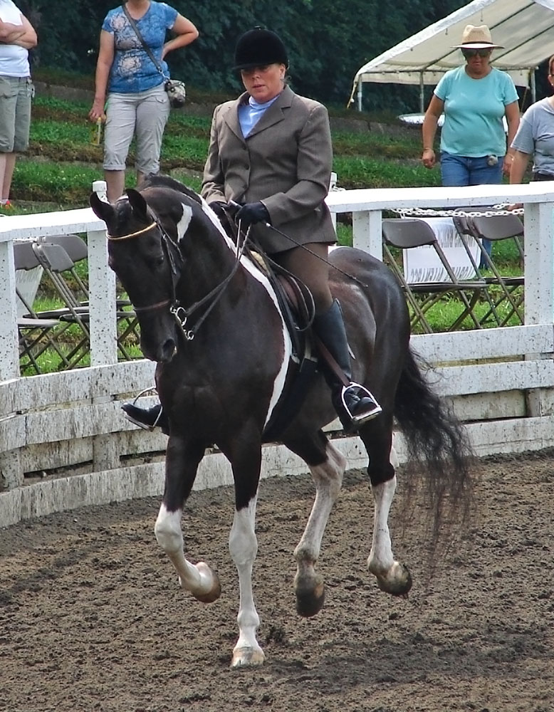 NSH Hunter 2