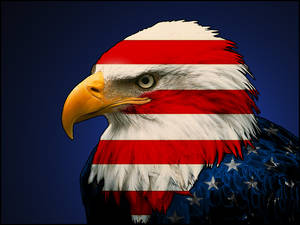 America's Eagle