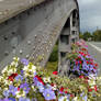 Belgian bridges blooming.