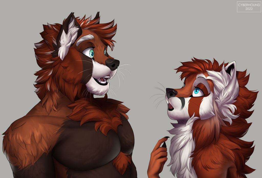 Two Red Pandas? by cyberhoundd on DeviantArt