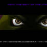 wallpaper HD : TBOTS Donatello