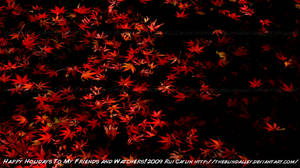 Wallpaper HD: Red Tints