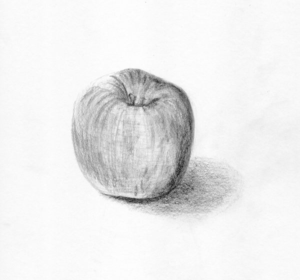 Apple Sketch 01 by theblindalley on DeviantArt