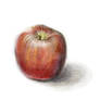 Apple Sketch 01 color