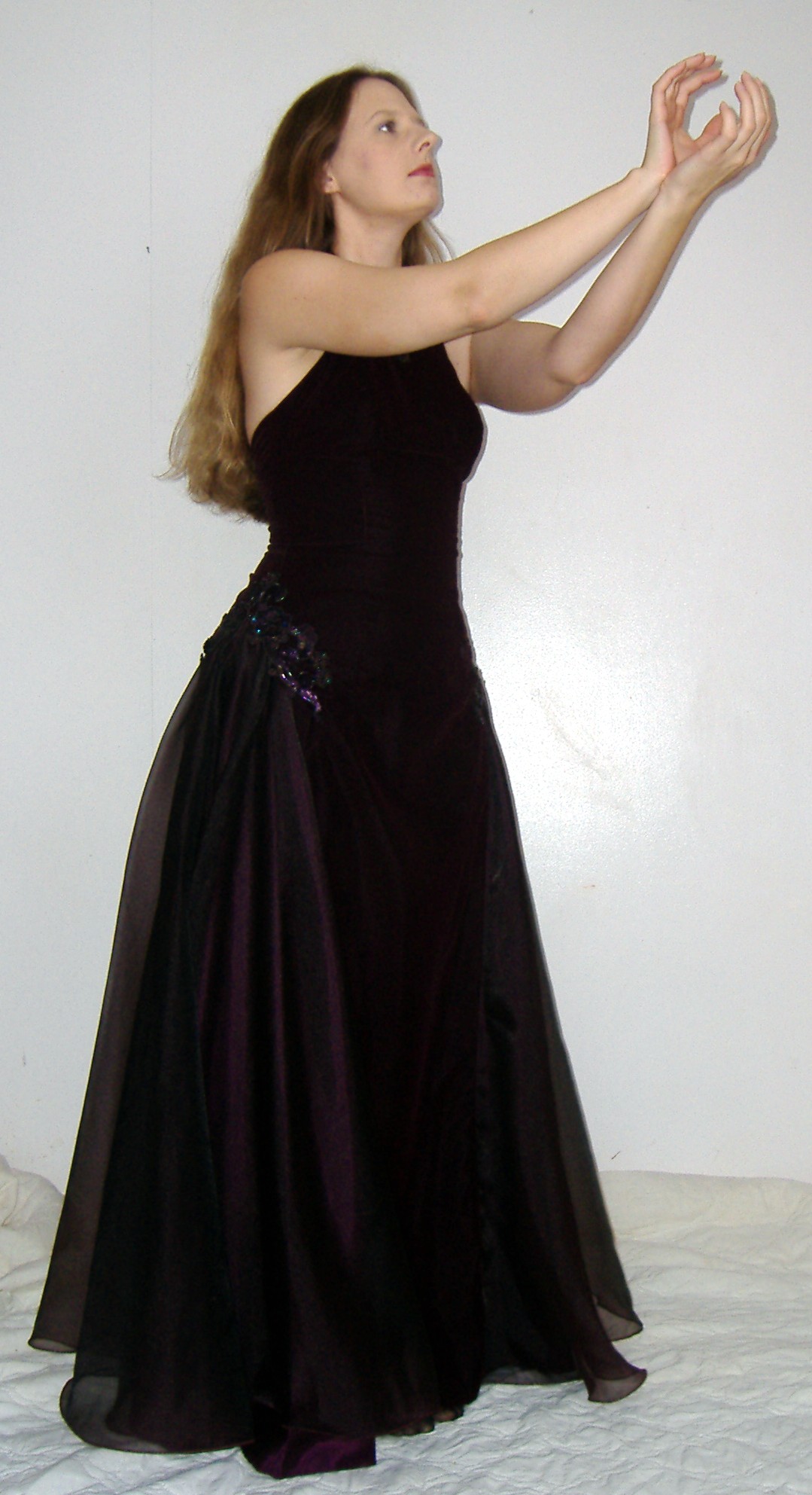 Plum Gown 13