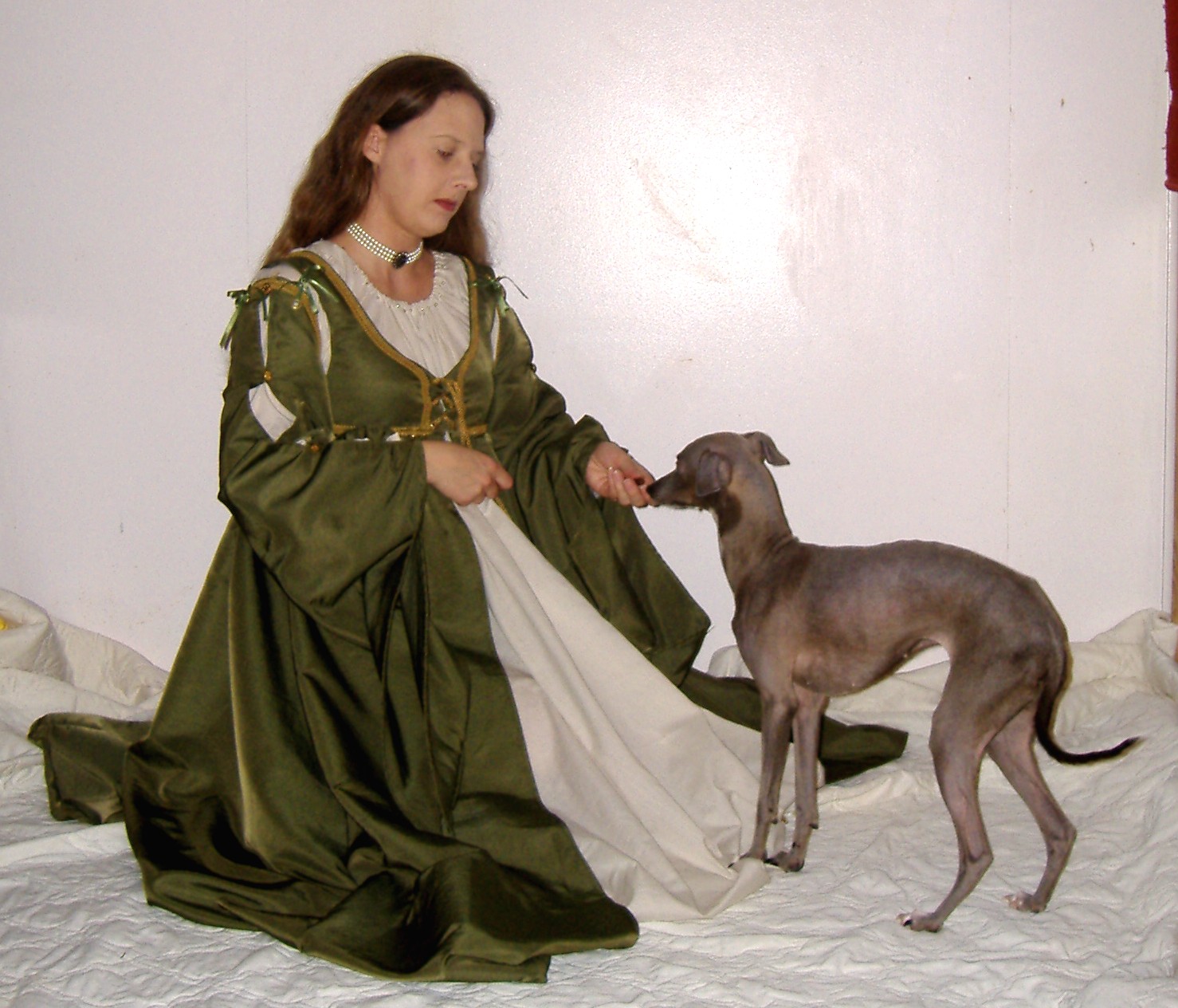 Italian Gown with Greyhound 8