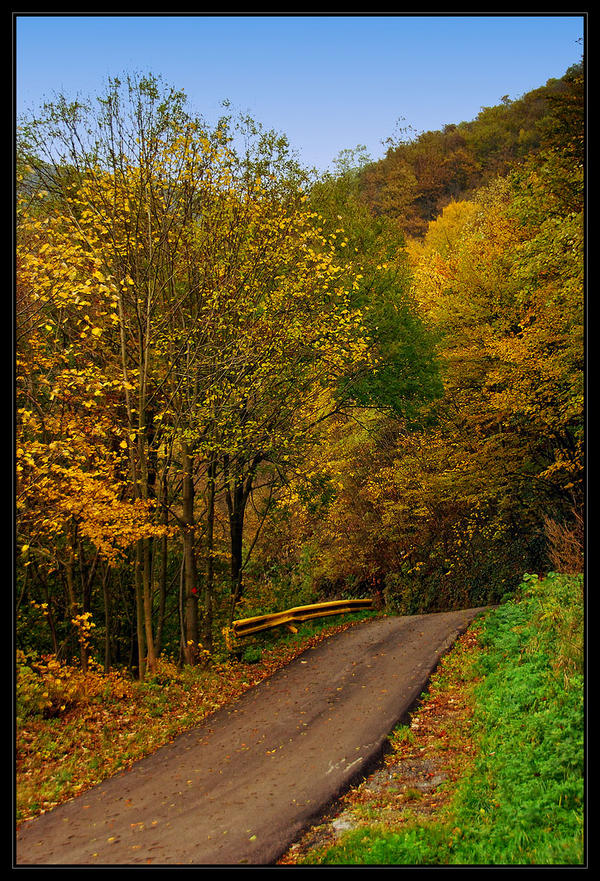 Autumn road