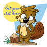 Beaver