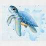 Watercolor sea turtle