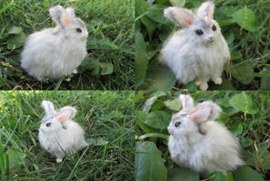 Pygmy Rabbit OOAK Mini Art Doll