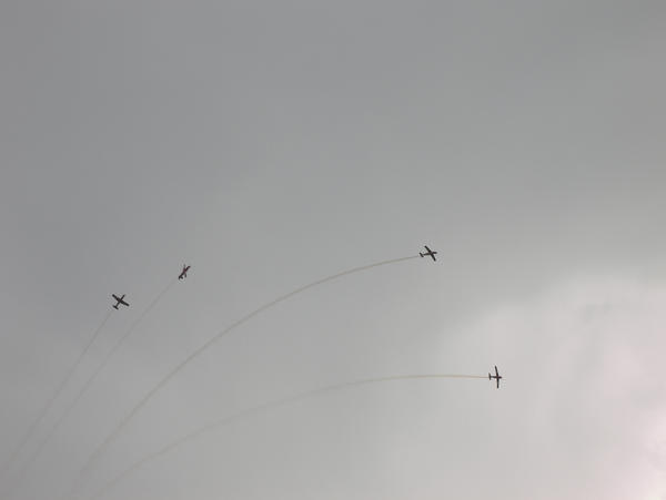 Roulettes scatter