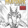 WOLVERINE Blank Cover