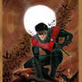 Night watch with Nightwing