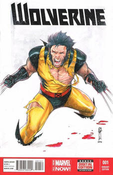 Wolverine Battle Damage