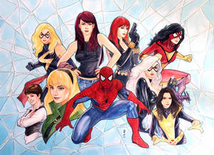 Spiderman Girls