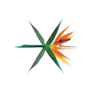 [SHARE PNG] EXO The War 'Ko Ko Bop' Logo PNG @2