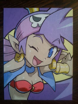 Shantae painting